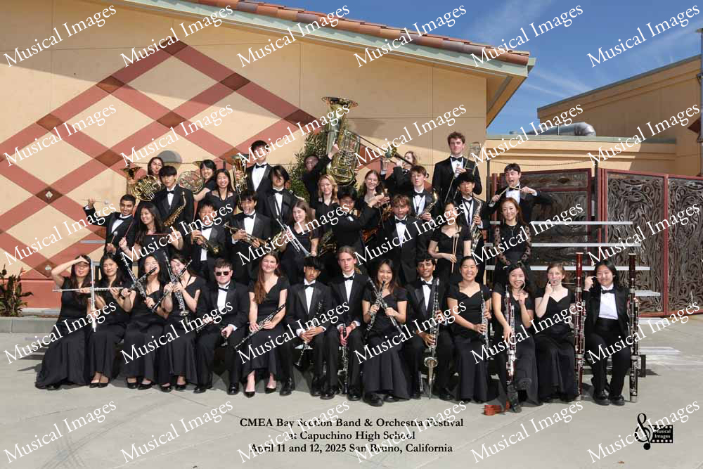 Musical Images